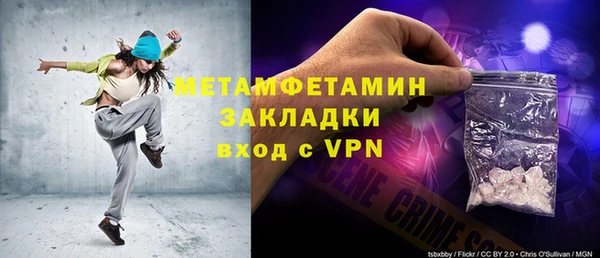 прущие грибы Сосновый Бор