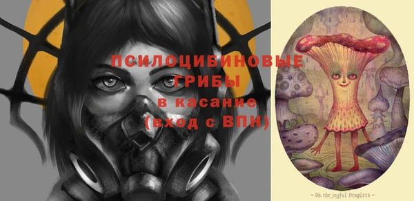 хмурый Алексеевка