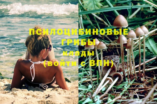 хмурый Алексеевка