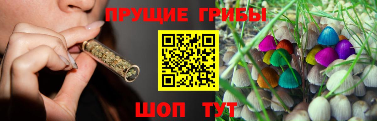 закладка  Псилоцибиновые грибы ЛСД  Псилоцибиновые грибы MAGIC MUSHROOMS  Вход с VPN  Назрань 